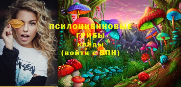 мдма Переславль-Залесский