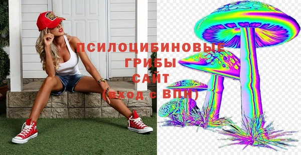 ECSTASY Баксан