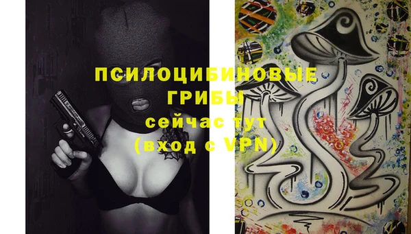 мяу мяу мука Балахна