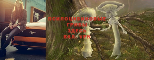 мяу мяу мука Балахна