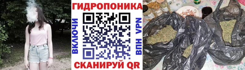 закладки  Ульяновск  Шишки марихуана гибрид 